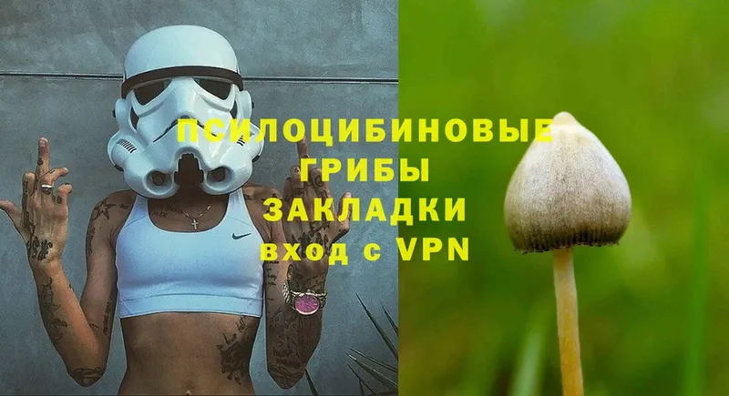 Галлюциногенные грибы Psilocybine cubensis Белая Калитва